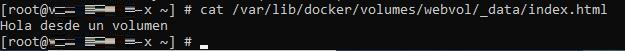 cat volumen docker.jpeg