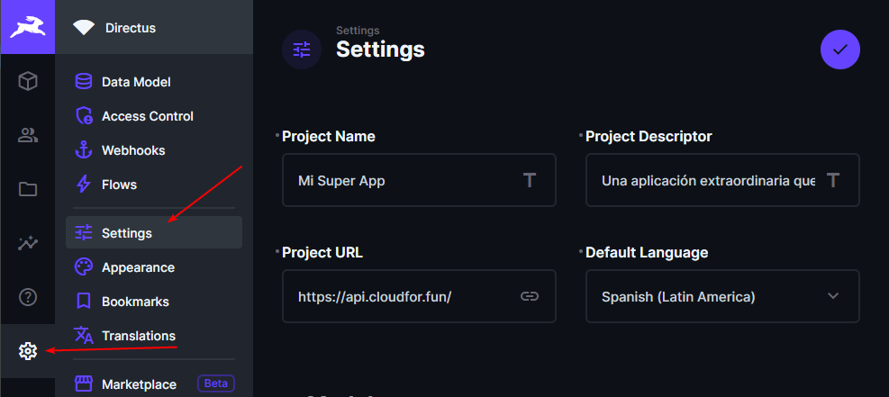 tutorial-directus-settings.png