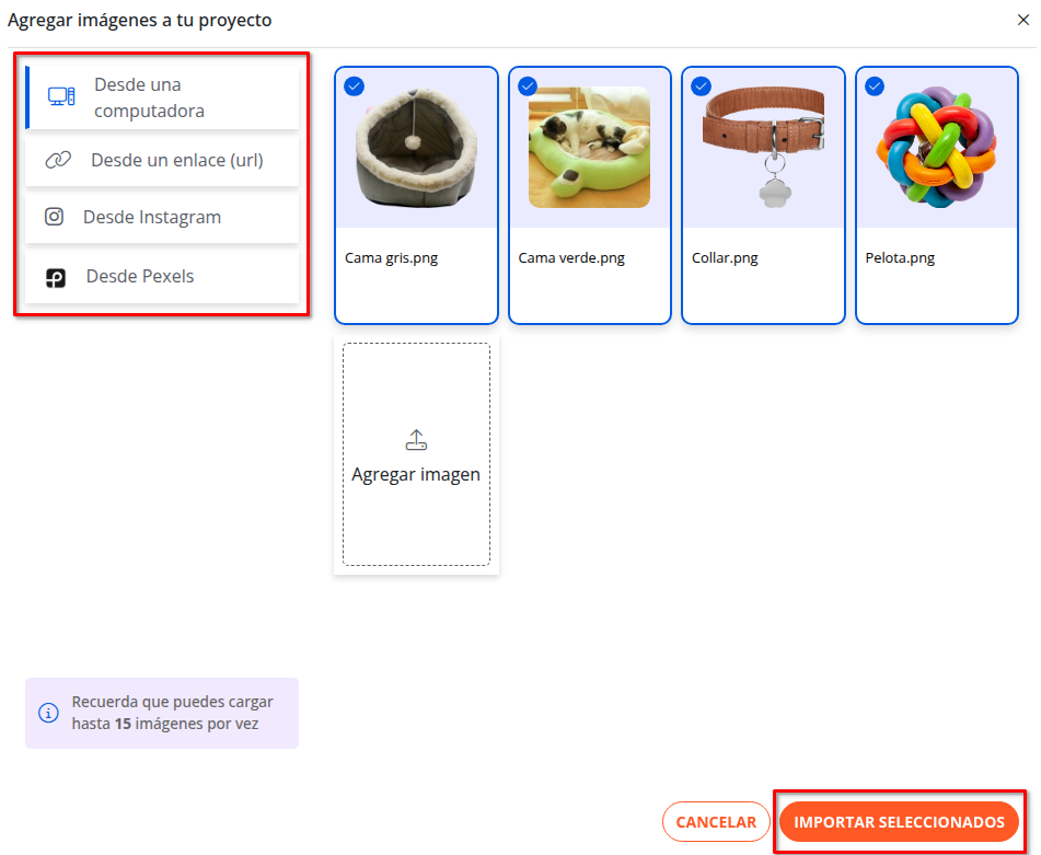 importar seleccionados.png